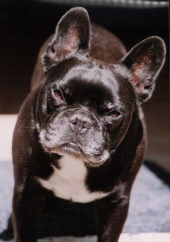 harvey a