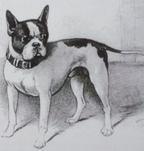 Bullyalt 574x600
