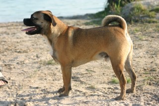 toby am see2