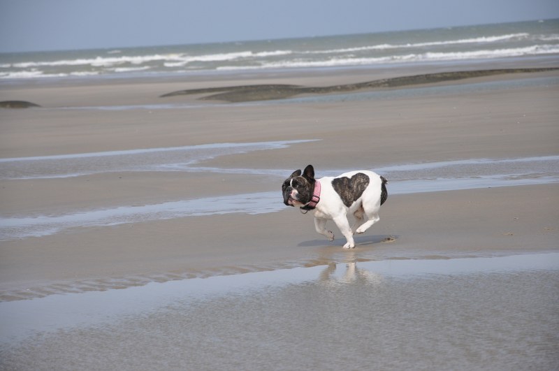 Bild 829 800x531