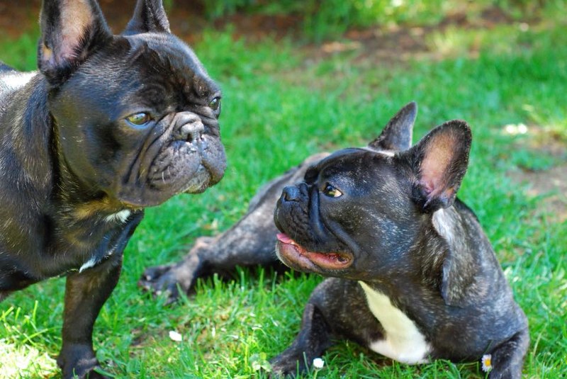 Manolo und Lucy 800x535