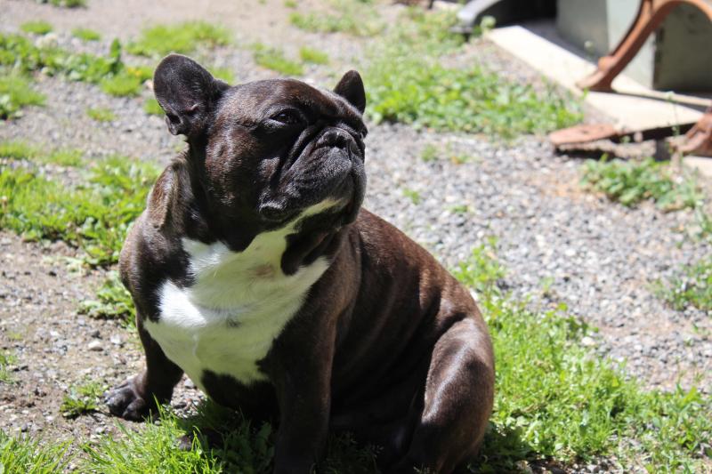 Obrigheim 094
