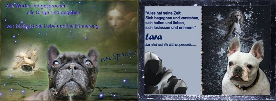 Spocky Lara