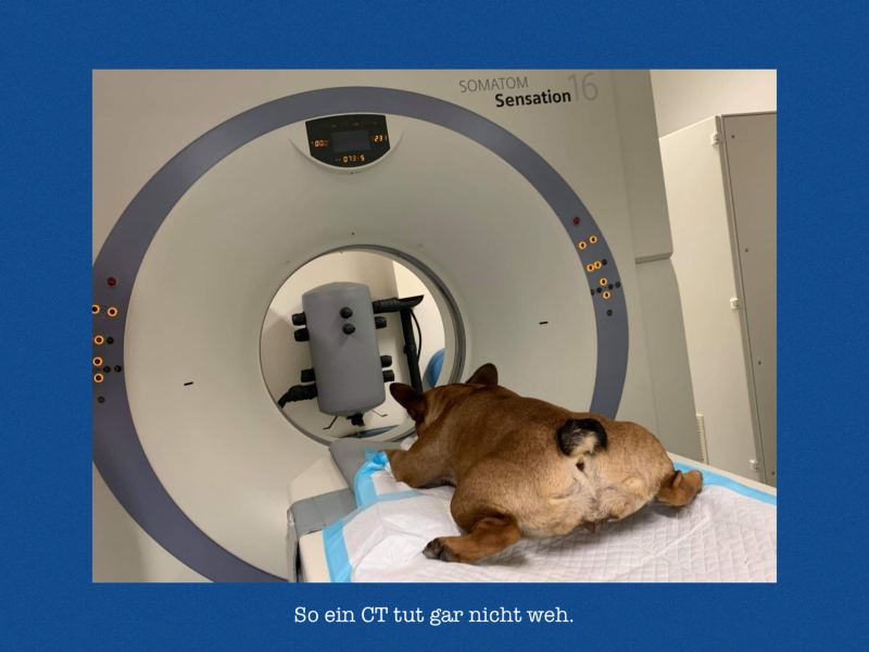 CT Check